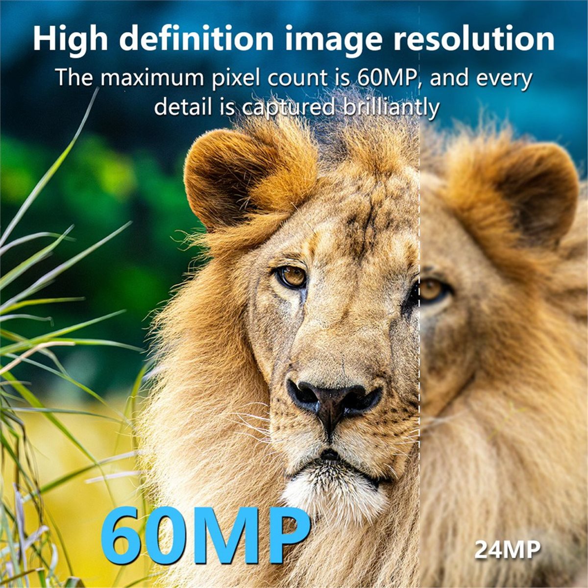 AS62 8K Hunting Camera HD Wild - Hunting Outdoor Rug recension och pris