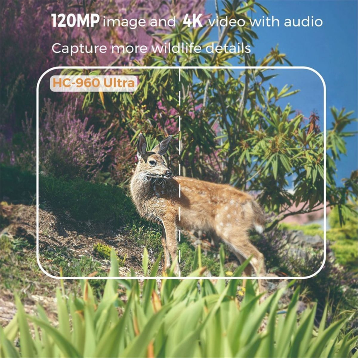 update. Outdoor 4G 120MP 4K Li - Hunting Outdoor Shows recension och pris