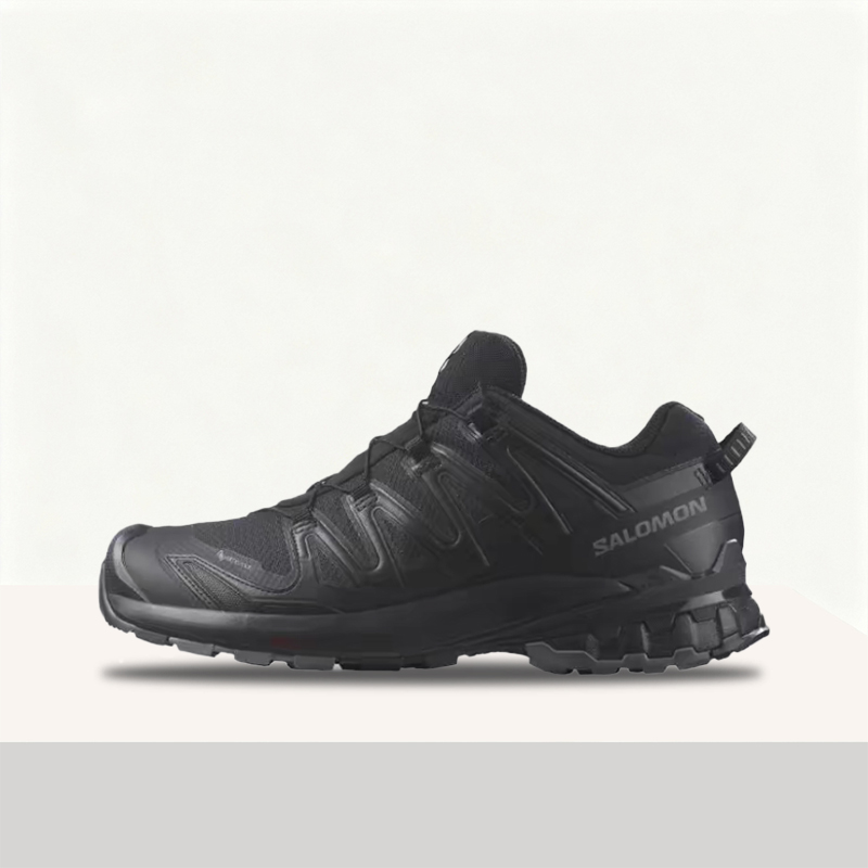 Salomon XA Pro 3D V9 GTX: Styl - Salomon Shoes Xa Pro 3D recension och pris