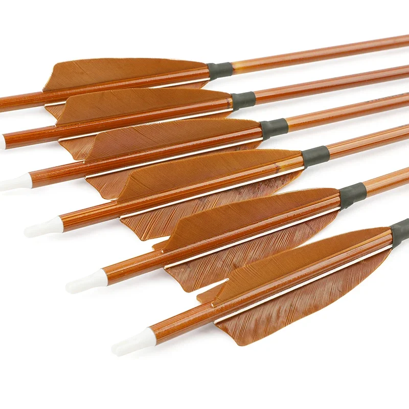 6/12pcs Mixed Carbon Arrows SP - Bow Stringer Tool recension och pris